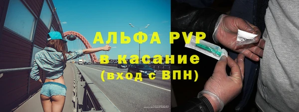 гашик Алексин