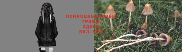 герыч Навашино